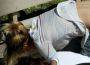 Cameron Diaz oops: perizoma in vista per la bella attrice – Foto hot