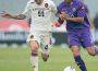 Calciomercato Fiorentina: se partissero Cerci e Ljajic arriverebbero soldi
