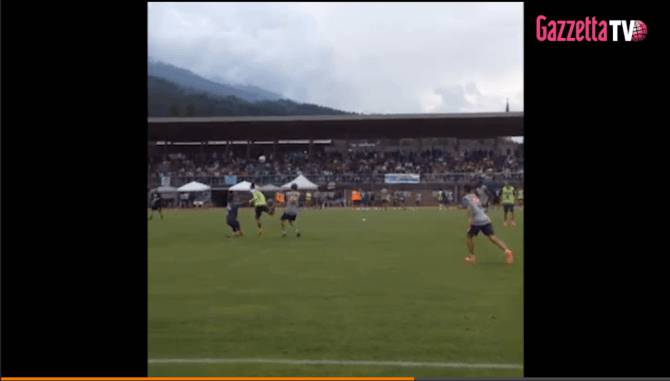 video hamsik