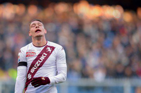 Belotti