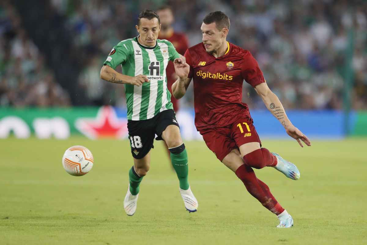 Belotti Fiorentina Genoa