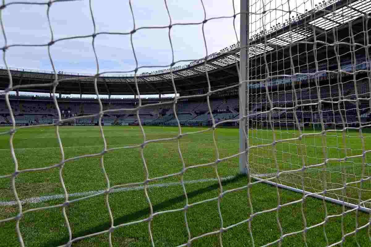 Torino cordata americana