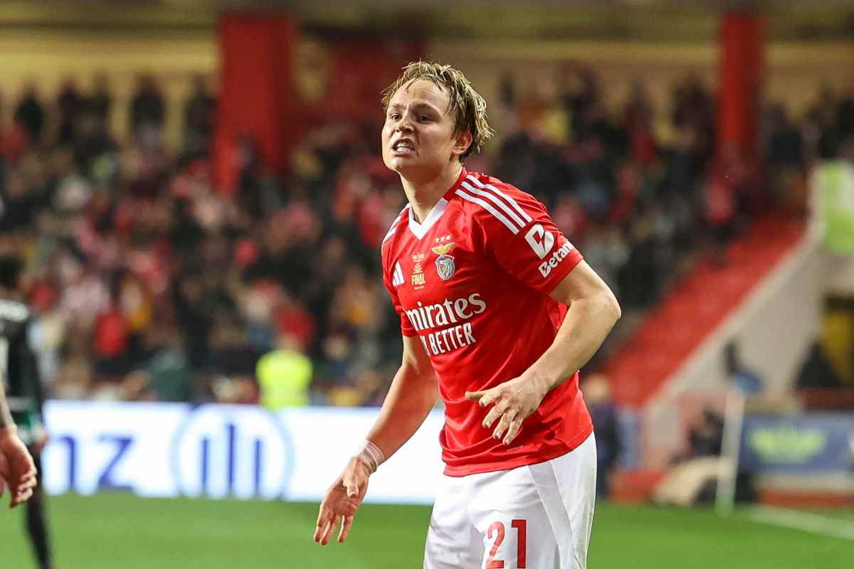 Andreas Schjelderup in campo