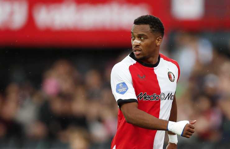 Timber in primo piano