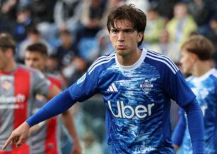 Perrone in primo piano