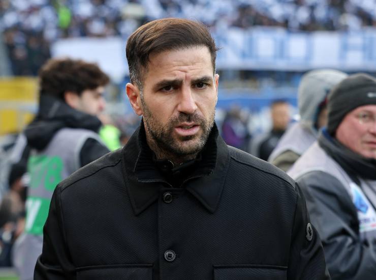 Fabregas in primo piano