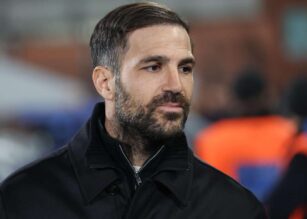 Fabregas in primo piano