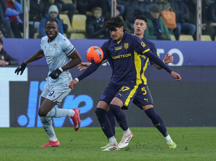 Corvi durante una partita