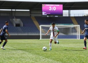 Palermo lancia il programma Pinkers per i tifosi