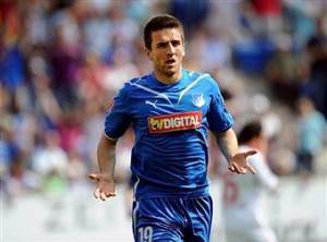 ibisevic
