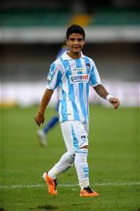 insigne